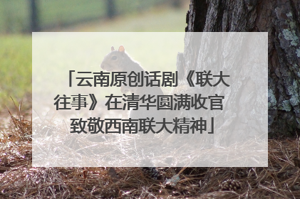 云南原创话剧《联大往事》在清华圆满收官 致敬西南联大精神