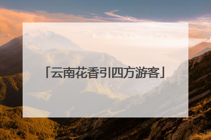 云南花香引四方游客