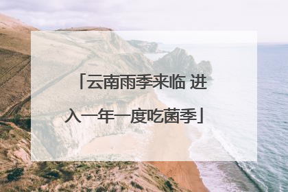 云南雨季来临 进入一年一度吃菌季