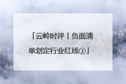 云岭时评丨负面清单划定行业红线③