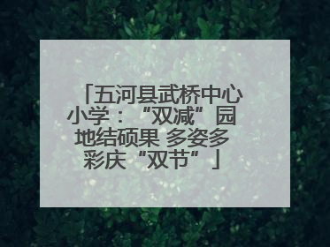 五河县武桥中心小学：“双减”园地结硕果 多姿多彩庆“双节”