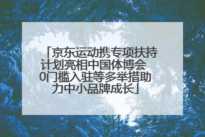 京东运动携专项扶持计划亮相中国体博会 0门槛入驻等多举措助力中小品牌成长