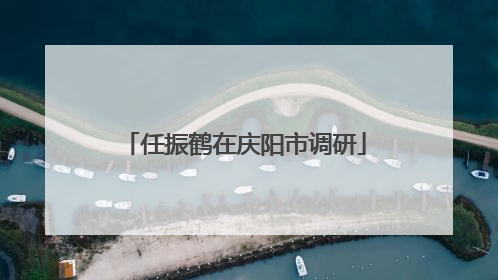 任振鹤在庆阳市调研