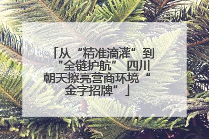 从“精准滴灌”到“全链护航” 四川朝天擦亮营商环境“金字招牌”