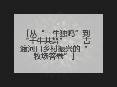 从“一牛独鸣”到“千牛共舞”——古渡河口乡村振兴的“牧场答卷”