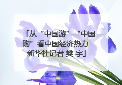 从“中国游”“中国购”看中国经济热力 新华社记者 樊 宇