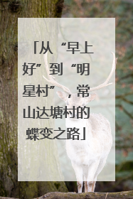 从“早上好”到“明星村”，常山达塘村的蝶变之路