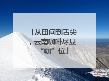 从田间到舌尖，云南咖啡尽显“咖”位