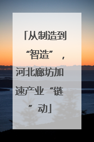 从制造到“智造”，河北廊坊加速产业“链”动
