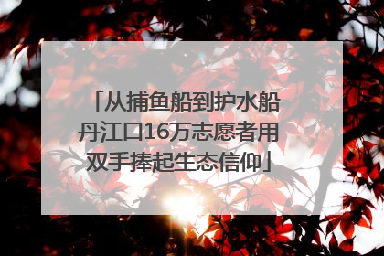 从捕鱼船到护水船 丹江口16万志愿者用双手捧起生态信仰