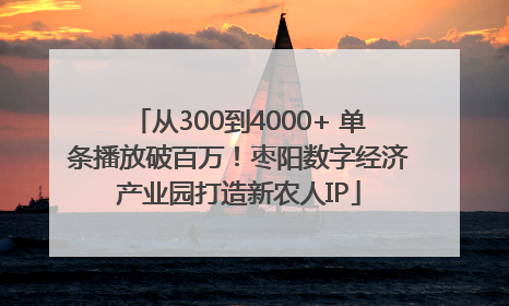 从300到4000+ 单条播放破百万！枣阳数字经济产业园打造新农人IP