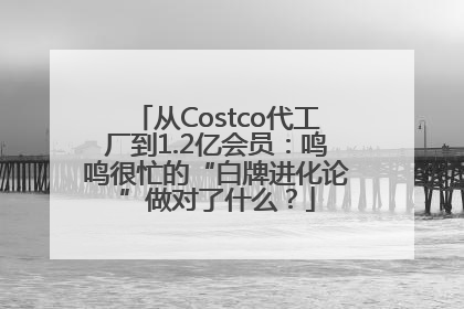 从Costco代工厂到1.2亿会员：鸣鸣很忙的“白牌进化论”做对了什么？