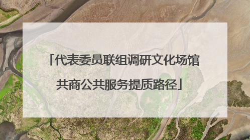 代表委员联组调研文化场馆 共商公共服务提质路径