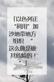 以色列正“利用”加沙地带地方组织  “这么做是极其危险的！”