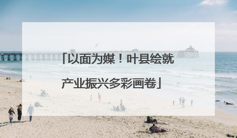 以面为媒！叶县绘就产业振兴多彩画卷