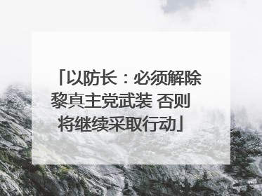 以防长：必须解除黎真主党武装 否则将继续采取行动