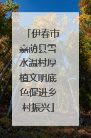 伊春市嘉荫县雪水温村厚植文明底色促进乡村振兴