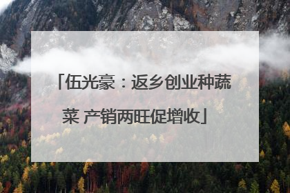 伍光豪：返乡创业种蔬菜 产销两旺促增收