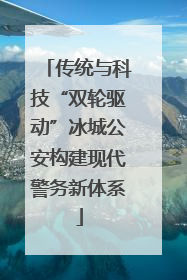 传统与科技“双轮驱动”冰城公安构建现代警务新体系