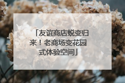 友谊商店蜕变归来！老商场变花园式体验空间
