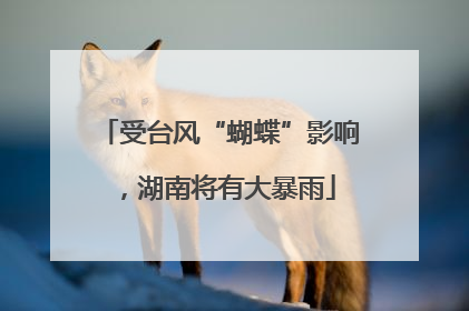 受台风“蝴蝶”影响，湖南将有大暴雨