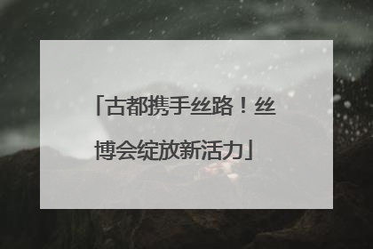古都携手丝路！丝博会绽放新活力