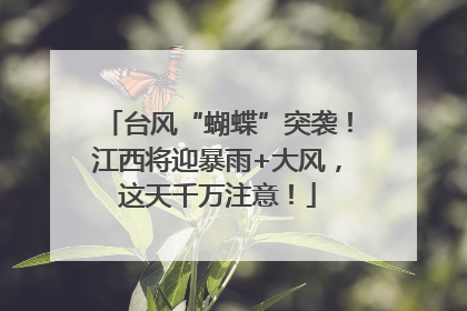 台风“蝴蝶”突袭！江西将迎暴雨+大风，这天千万注意！