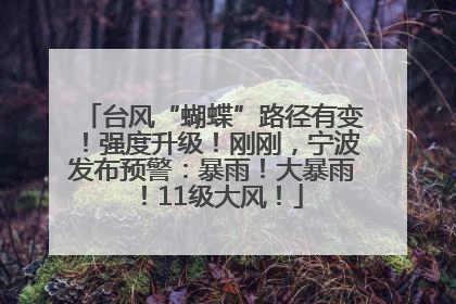 台风“蝴蝶”路径有变！强度升级！刚刚，宁波发布预警：暴雨！大暴雨！11级大风！