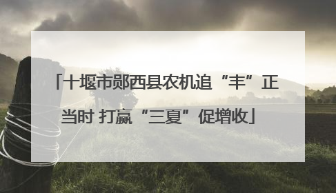 十堰市郧西县农机追“丰”正当时 打赢“三夏”促增收