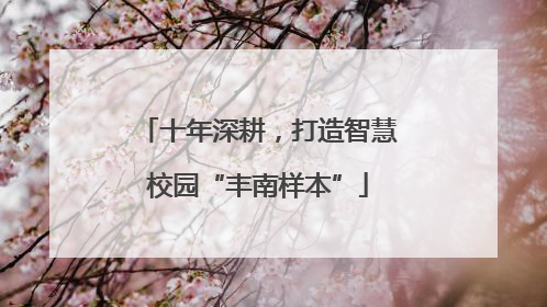 十年深耕，打造智慧校园“丰南样本”