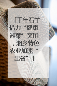 千年石羊借力“健康湘菜”突围，湘乡特色农业加速“出省”