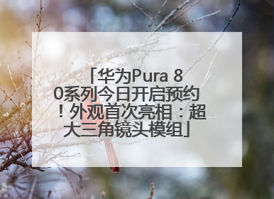 华为Pura 80系列今日开启预约！外观首次亮相：超大三角镜头模组