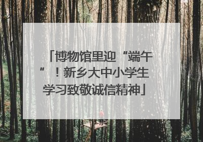 博物馆里迎“端午”！新乡大中小学生学习致敬诚信精神