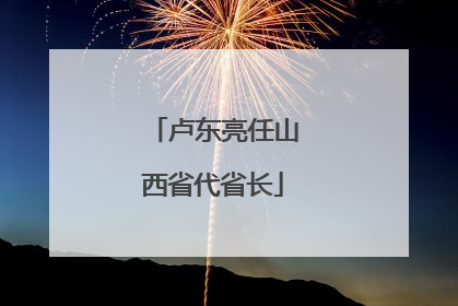 卢东亮任山西省代省长