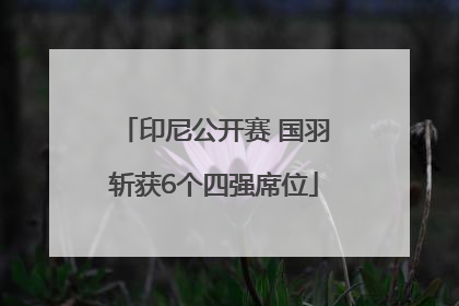 印尼公开赛 国羽斩获6个四强席位
