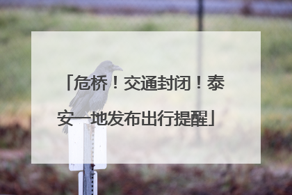 危桥！交通封闭！泰安一地发布出行提醒