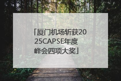 厦门机场斩获2025CAPSE年度峰会四项大奖