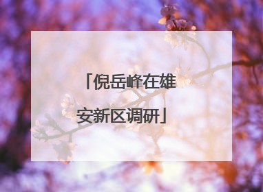 倪岳峰在雄安新区调研