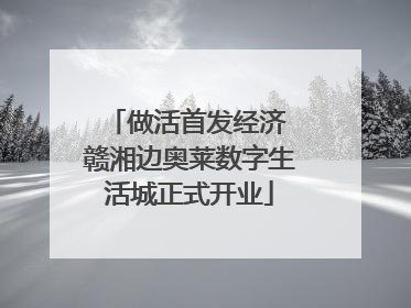 做活首发经济 赣湘边奥莱数字生活城正式开业