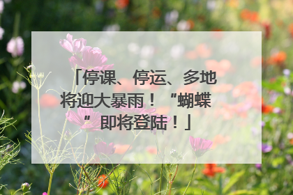 停课、停运、多地将迎大暴雨！“蝴蝶”即将登陆！