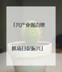 兴产业强治理 抓项目促振兴