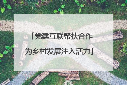 党建互联帮扶合作 为乡村发展注入活力