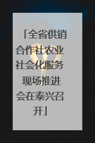 全省供销合作社农业社会化服务 现场推进会在泰兴召开
