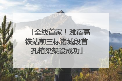 全线首家！潍宿高铁站前三标诸城段首孔箱梁架设成功