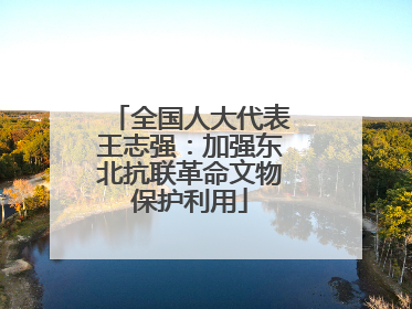 全国人大代表王志强：加强东北抗联革命文物保护利用