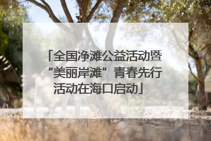 全国净滩公益活动暨“美丽岸滩”青春先行活动在海口启动