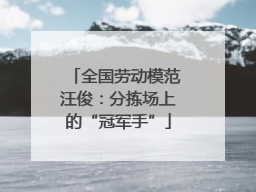 全国劳动模范汪俊：分拣场上的“冠军手”