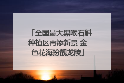 全国最大黑喉石斛种植区再添新景 金色花海扮靓龙陵