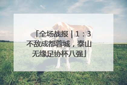 全场战报｜1：3不敌成都蓉城，泰山无缘足协杯八强