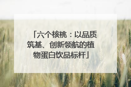 六个核桃：以品质筑基、创新领航的植物蛋白饮品标杆